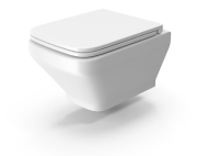 Toilet Repairs